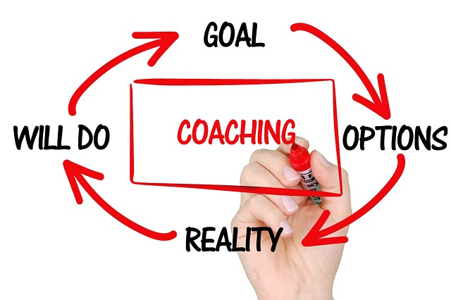 Comparatif des formations Excel : laquelle choisir pour vraiment progresser ?